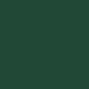 Зелений мох 